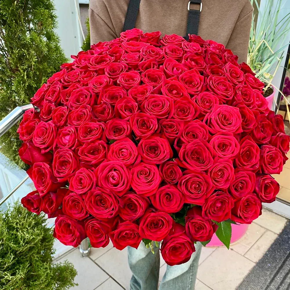 Розы Кыргызстан